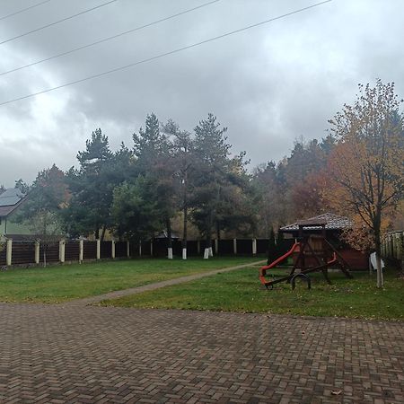 Vila A&N Timișu de Jos Eksteriør billede
