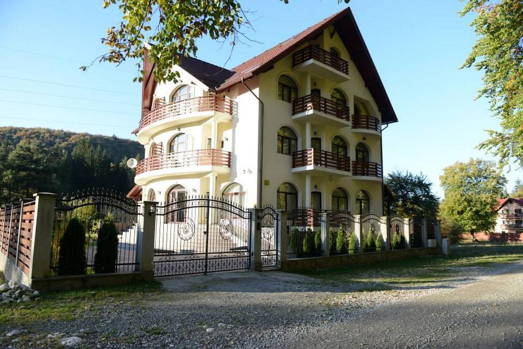 Vila A&N Timișu de Jos Eksteriør billede